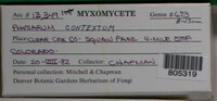 Image Associated With the Occurence